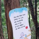 다솔산방