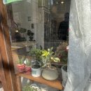 GS25 연산스타점 이미지