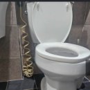 진성투토펠리체 이미지