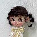 허피쉬