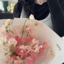 산호동266 | 마산꽃집 창원꽃집 마산기념일꽃다발 마산꽃집추천 마산생일꽃다발 퇴직꽃다발 추천