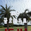 씨유 금호점 | 금호제주리조트 스위트양실 오션뷰 추가 후기