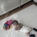 Dear.bebe(디어베베) | 놀이방매트 비엔메이드디어층간소음매트PVC아기놀이방매트 추천