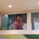 신나는뛰뛰방방