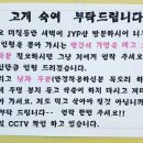 인형의 거리(말) 이미지