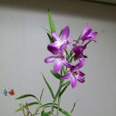 석곡농장 이미지