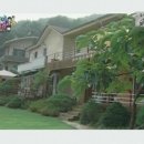 그림같은 집 이미지