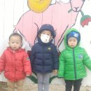 분홍염소 이미지