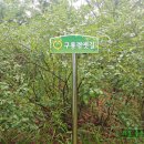 구룡령 옛길 이미지