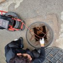 수원-1163 이미지