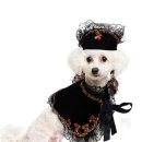 코디애견샵 이미지