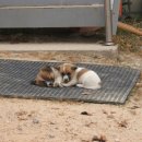 정오농장 이미지