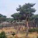 엄마손케어 이미지