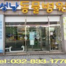 노성남 동물병원 이미지