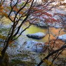 육모정민박 이미지