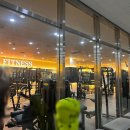 웰리스휘트니스 이미지