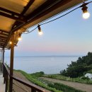 시골막걸리 이미지