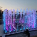 음악분수 이미지