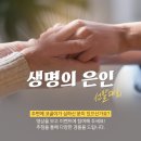 레즈메드