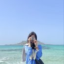 애월고등학교 이미지