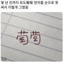 현대장어