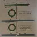 BROCK의 미생물학 - 용원주기 질문입니다! 이미지