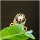 온누리 | 대방어 가격 가락시장 맛집 포장 비용 주차 내돈내산 온누리 후기