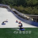 좌구산 휴양랜드 썰매장 이미지