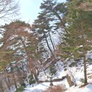 갑장사등산로 이미지