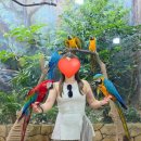 (주)게임앤인터넷 | [푸꾸옥] 빈펄 사파리 내돈내산 후기｜가격·이동·관람 팁 총정리