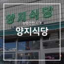 양지네온
