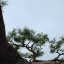 인생신호등 이미지