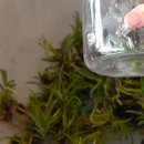 소라농장 이미지