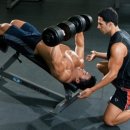 근력운동 이미지