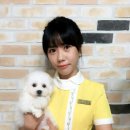 WITHPET