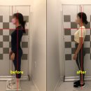 베이스오브바디 이미지