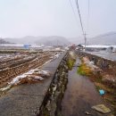 장익는 마을 이미지