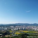 제천시내 전경 이미지