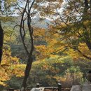 오퐁드부아 스테이 | 대구 오퐁드부아 이터리 -가을 단풍 브런치 맛집