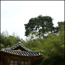작은백로 - 청주시 청원구 충청대로115번길 15-2 | 작은백로