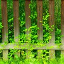 커피바람 이미지