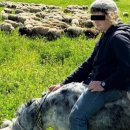 가증농장 이미지