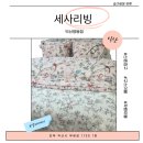 세사리빙 | 전북 익산 이불 매장 후기 ㅣ 세사리빙 알러지케어 차렵이불 써봤어요
