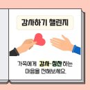 인성유아체육관 이미지