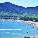 남해의 여유 이미지