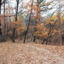 초안산 세대공감공원 이미지