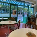 그린컵(GreenCup) 이미지