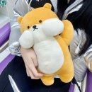 자연스러운 스타일에이지 입술 + 입꼬리 필러 리얼 후기 효과