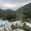 CU제천나은점 | 제천숙소 제천 포레스트리솜 S25타입 룸컨디션 내돈내산 후기