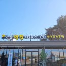 달콤한 디저트 | 강릉 천연꿀전문점 허니홈비 달콤한 디저트 카페 후기 [강릉벌집아이스크림]